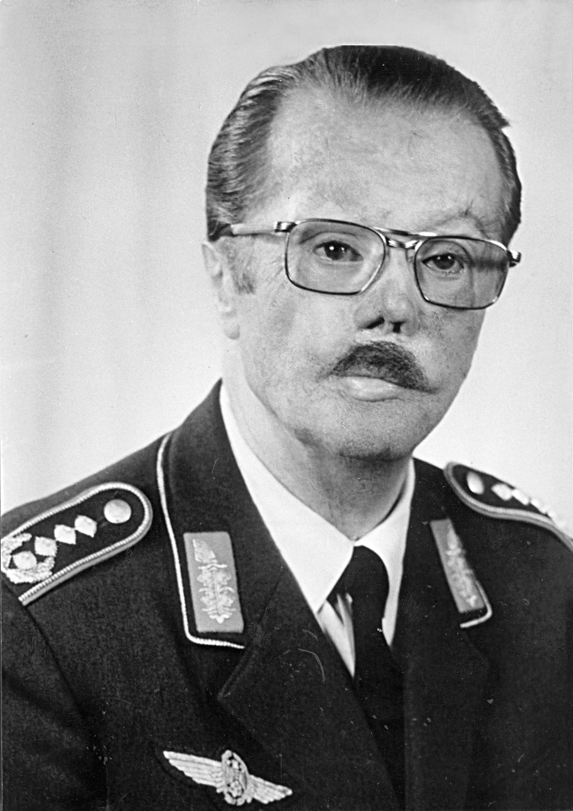 Portraitfoto von General Steinhoff mit Brille und Schnauzbart in Uniform