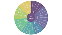 Abbildung eines Kreisdiagramms zum Themenkomplex Datenkompetenz