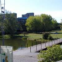 Brück über ein Gewässer, im Hintergrund das Unigebäude